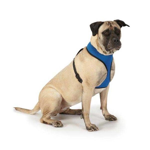 Casual Canine Casual Canine ZA888 20 79 Casual Canine Mesh Harness Lrg Purple ZA888 20 79